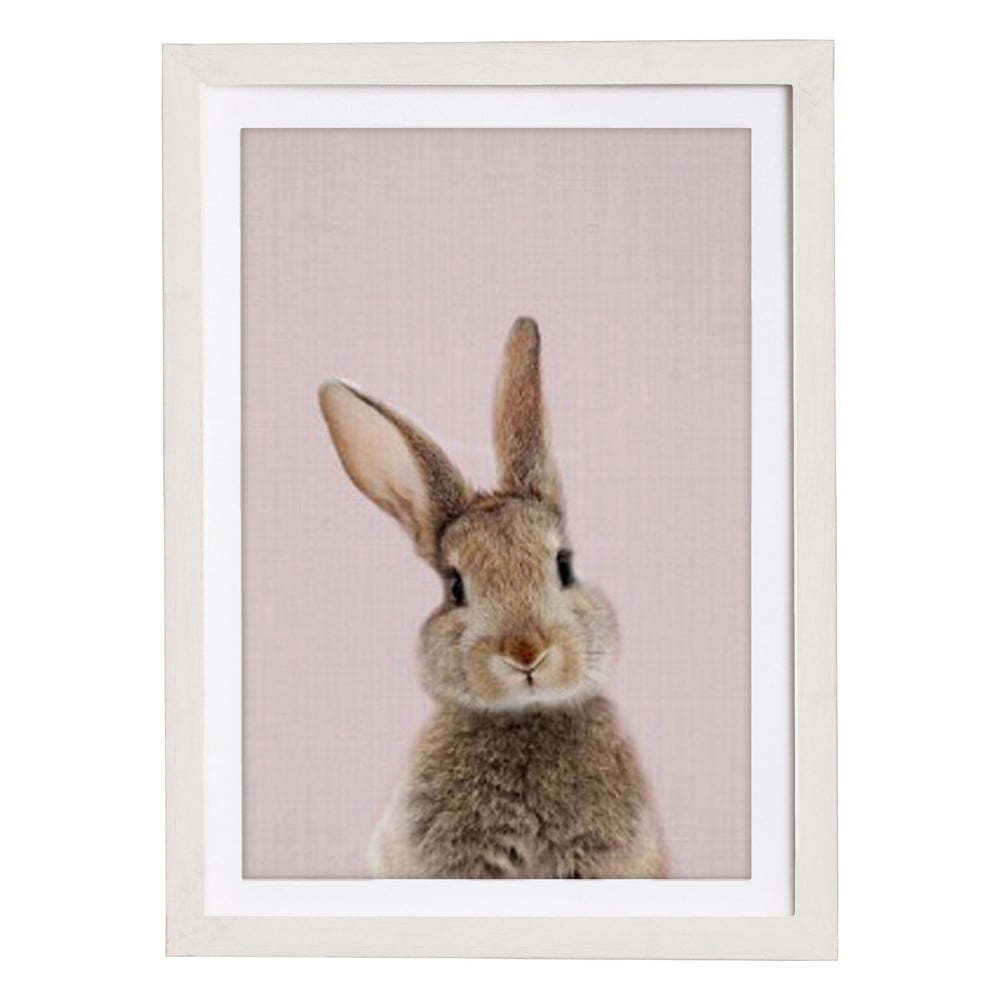 Nástěnný obraz v rámu Querido Bestiario Baby Rabbit, 30 x 40 cm