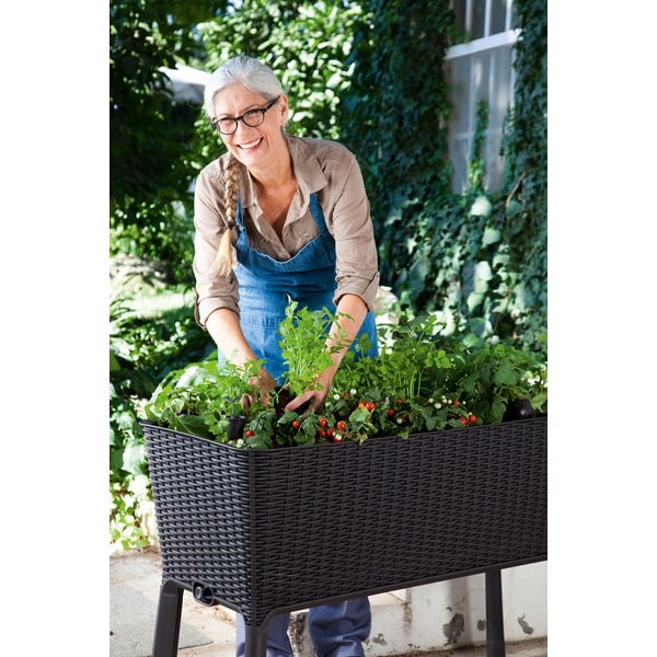 Truhlík Easy Grow – Keter-image-3