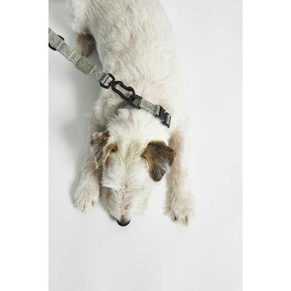 Zelený obojek velikost L/XL délka 40 cm Modena Grolive L/XL – MiaCara-image-1