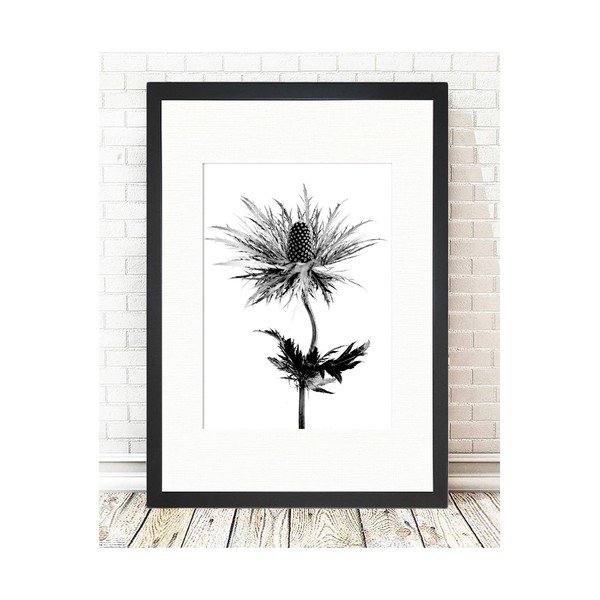 Plakát 24x29 cm Thistle Vibes – Tablo Center-image-1