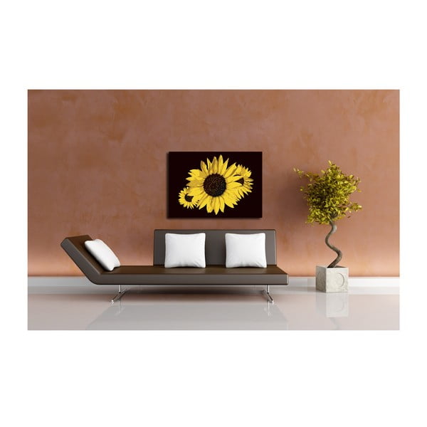 Obraz Sun Flower, 60x80 cm