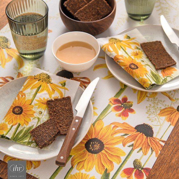 Plastové prostírání 43x29 cm Danielle - IHR-image-1