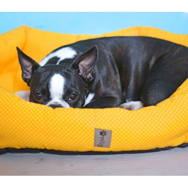 Žlutý bavlněný pelíšek 75x60 cm Sunny - Petsy-image-1