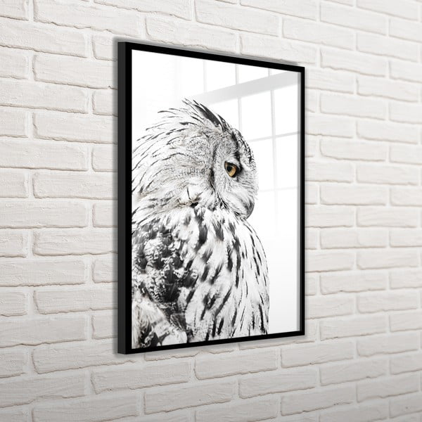 Obraz 50x70 cm Owl – Styler-image-4