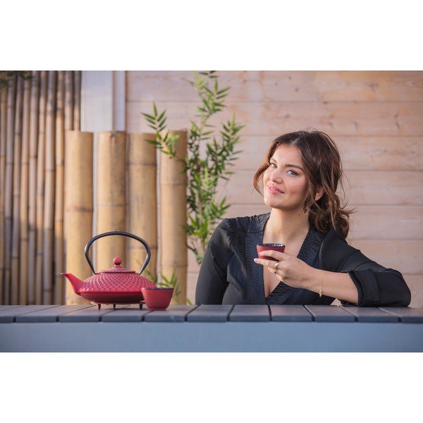 Červená litinová konvice se sítkem na sypaný čaj Bredemeijer Xilin, 1,25 l-image-4