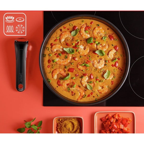 Nerezová sada nádobí 13 ks INGENIO Emotion L897DS04 – Tefal-image-3