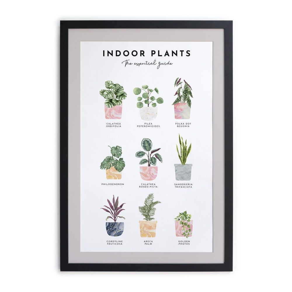 Nástěnný obraz v rámu Really Nice Things Indoor Plants, 30 x 40 cm