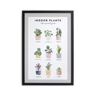 Nástěnný obraz v rámu Really Nice Things Indoor Plants, 30 x 40 cm