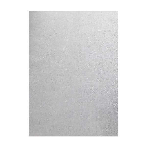 Světle šedý pratelný koberec 200x290 cm Sky – Ayyildiz Carpets