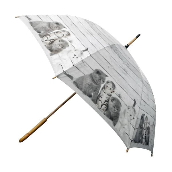 Deštník Scaffold Wood Kittens Grey