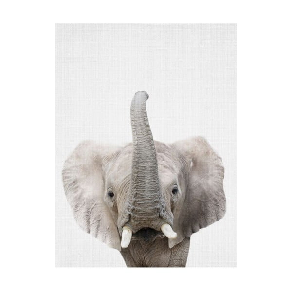 Plakát Blue-Shaker Baby Animals Elephant, 30 x 40 cm