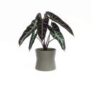 Keramický květináč ø 20 cm Diana – Artevasi