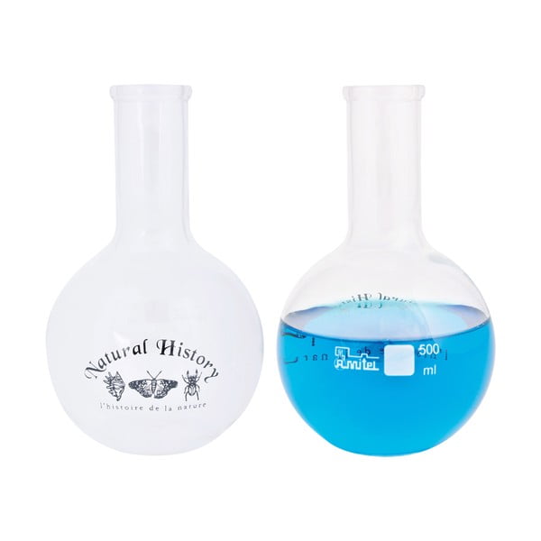 Skleněná váza (výška 23 cm) Natural History – Esschert Design-image-2