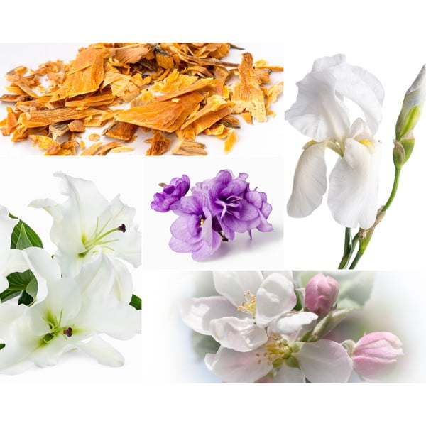 Interiérový parfém Privé Home Muscs Poudres, 120 ml-image-1