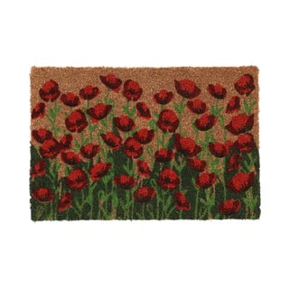 Rohožka z kokosového vlákna 40x60 cm - Esschert Design