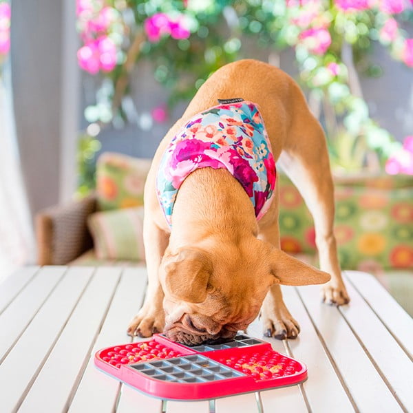 Lízací podložka Slomo Red – LickiMat-image-1