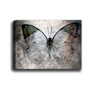 Obraz Tablo Center Fading Butterfly, 70 x 50 cm