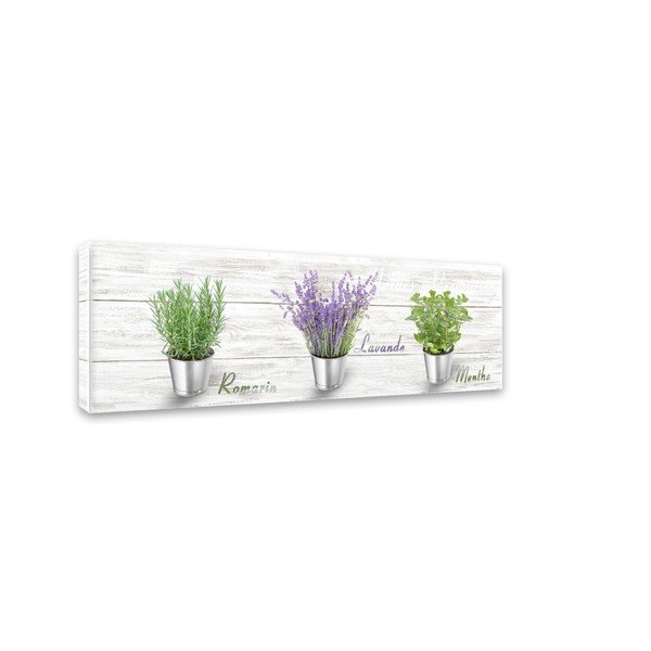 Obraz Styler Canvas Shabby Herbs, 27 x 75 cm-image-2