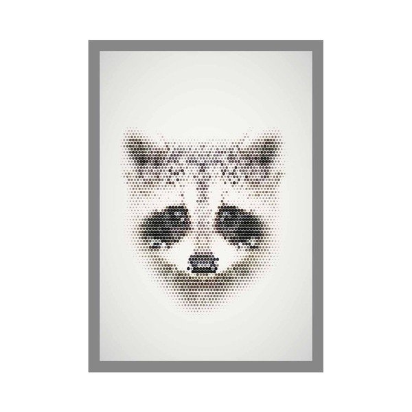 Plakát Racoon, A3-image-1