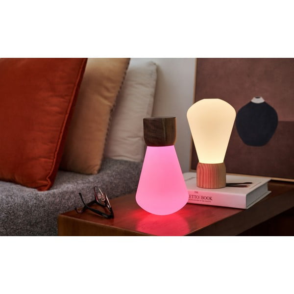 Stmívatelná stolní lampa v přírodní barvě (výška 13 cm) Pentagon – Gingko-image-3