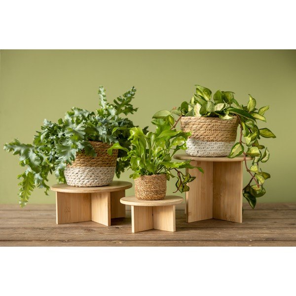 Bambusový stojan na květiny ø 25 cm (výška 19,5 cm) – Esschert Design-image-3