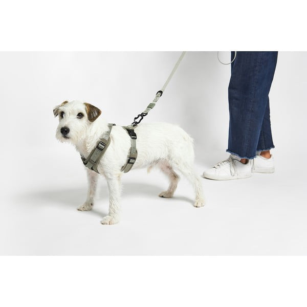 Zelený postroj velikost S délka 30 cm Modena Grolive S – MiaCara-image-2