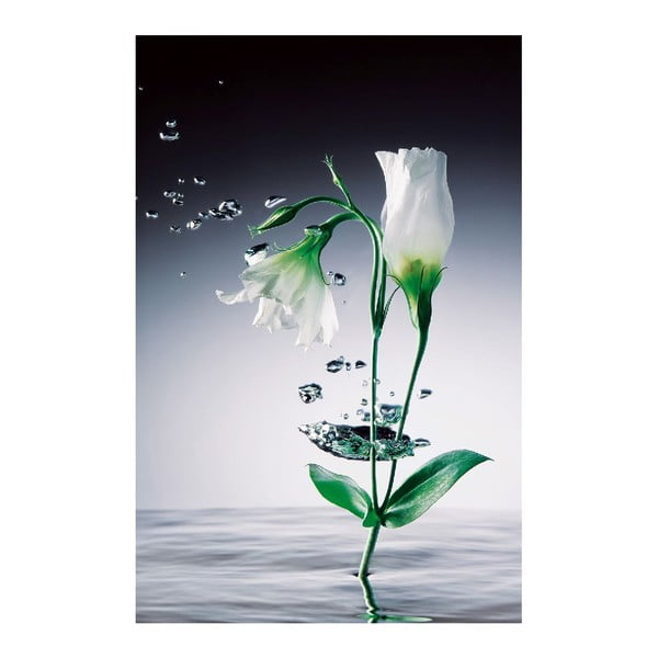 Maxi plakát Crystal Flowers, 115x175 cm