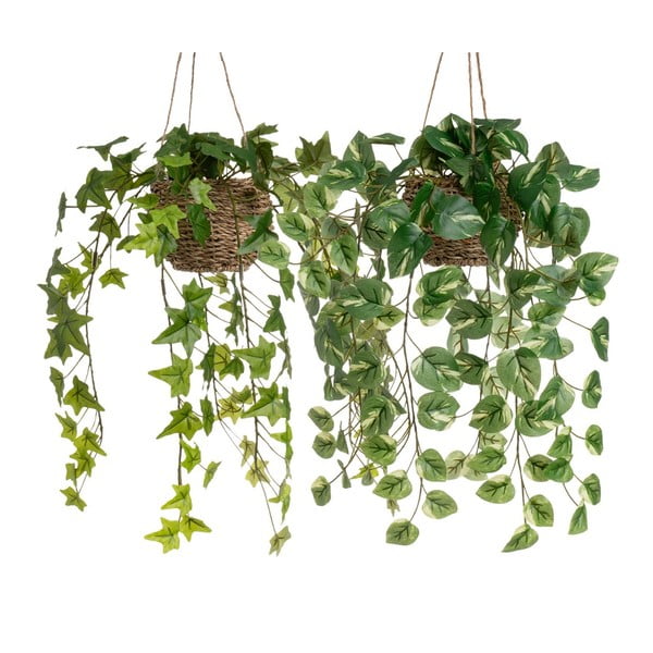 Umělé rostliny v sadě 2 ks (výška 50 cm) – Casa Selección