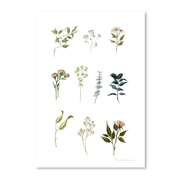 Plakát Americanflat Delicate Botanica Lpieces by Shealeen Louise, 30 x 42 cm