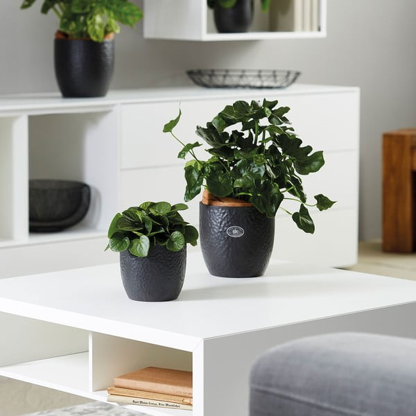 Keramický květináč ø 27 cm Boston Mate - Big pots-image-1