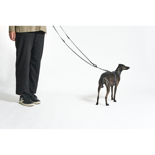 Béžové přepínací vodítko délka 200 cm Modena Greige 20 mm – MiaCara-image-2