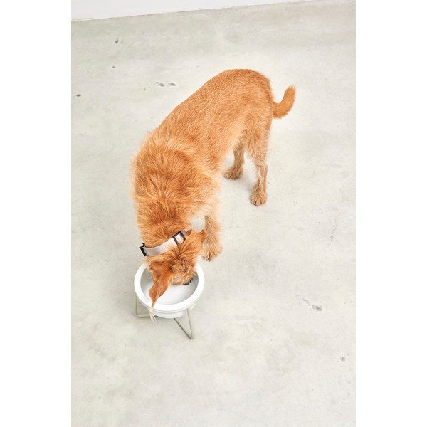 Porcelánová miska s podstavcem pro psa ø 20 cm Pranzo Greige M – MiaCara-image-4