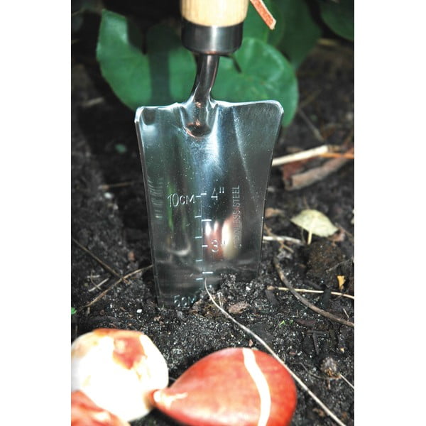 Přesazovací lopatka z jasanového dřeva Esschert Design Pond-image-1