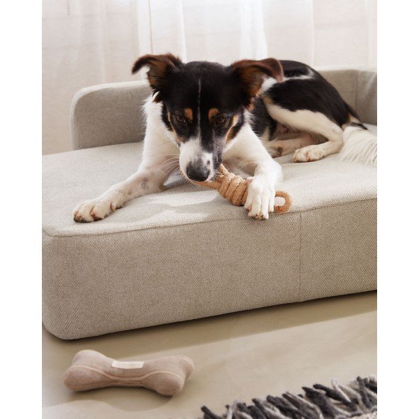 Béžový pelíšek pro psy 96x70 cm Bowie - Kave Home-image-2
