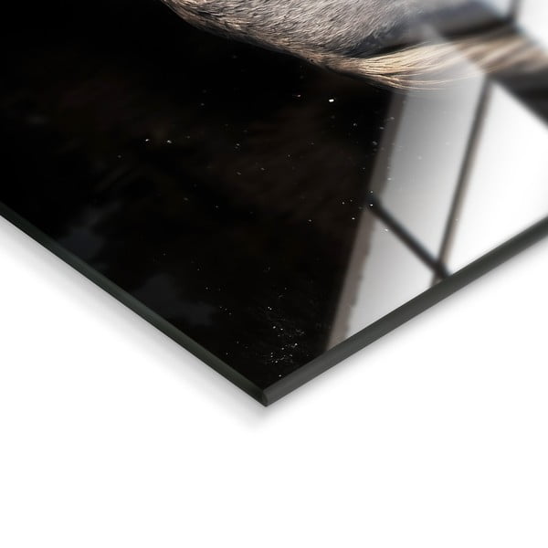 Skleněný obraz 120x80 cm Ele - Styler-image-3