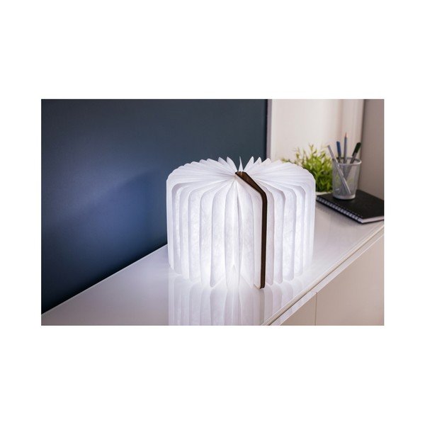 Světelná dekorace na USB v přírodní barvě Booklight – Gingko-image-3