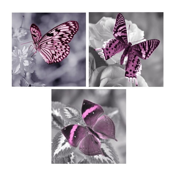 Set obrazů na skle Motýlí, 20x20 cm, 3 ks