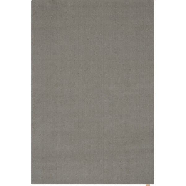 Šedý vlněný koberec 160x240 cm Calisia M Smooth – Agnella