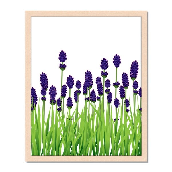 Obraz v rámu Liv Corday Provence Lavender Field, 40 x 50 cm