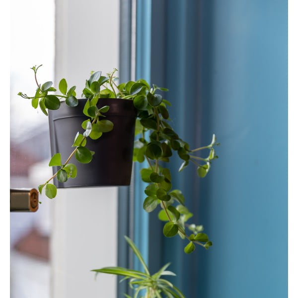 Plastové závěsné květináče v sadě 2 ks ø 10 cm – Esschert Design-image-4