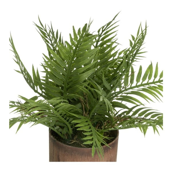 Umělé rostliny v sadě 2 ks (výška 22 cm) – Casa Selección-image-2