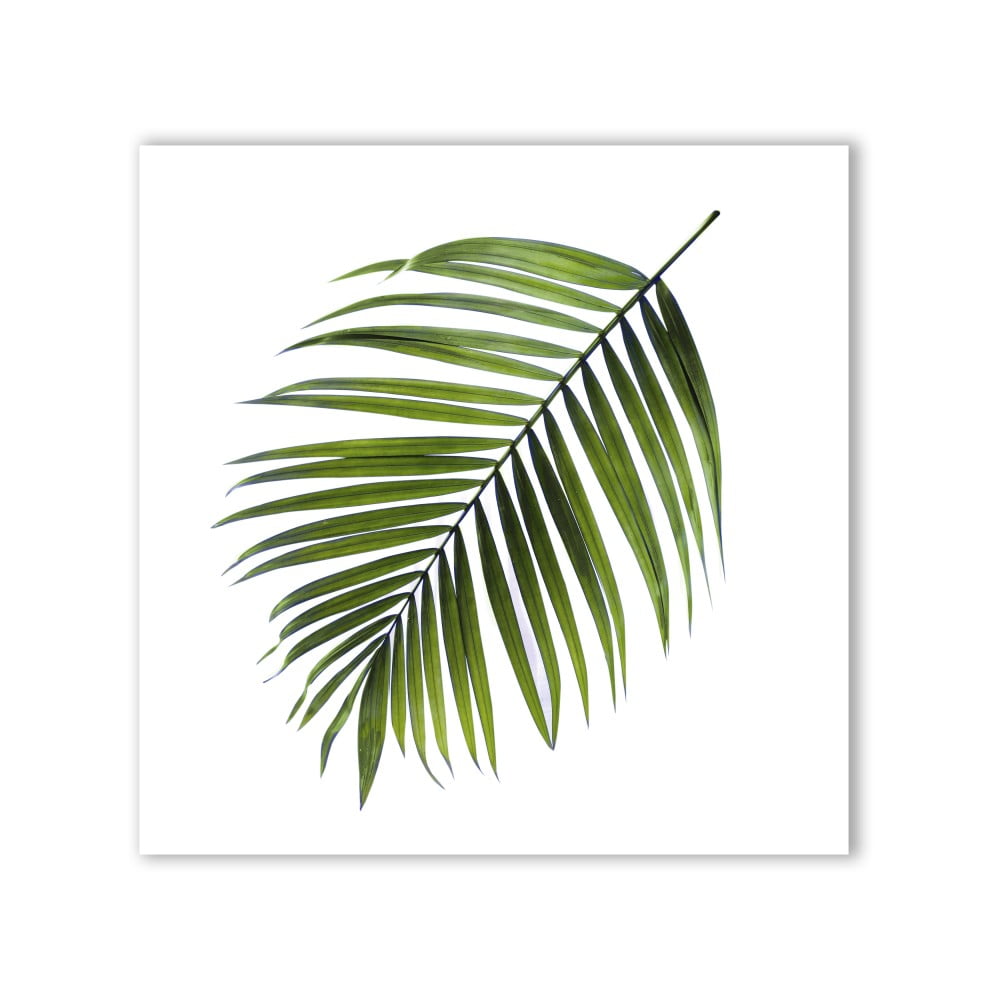 Obraz Styler Canvas Greenery Black Palm, 32 x 32 cm