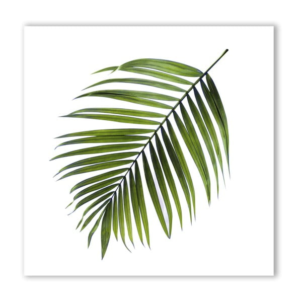 Obraz Styler Canvas Greenery Black Palm, 32 x 32 cm
