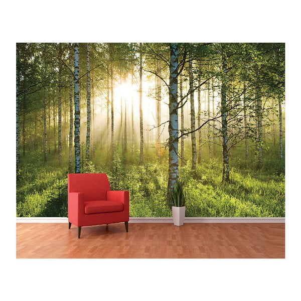 Velkoformátová tapeta Prosvětlený les, 360x253 cm