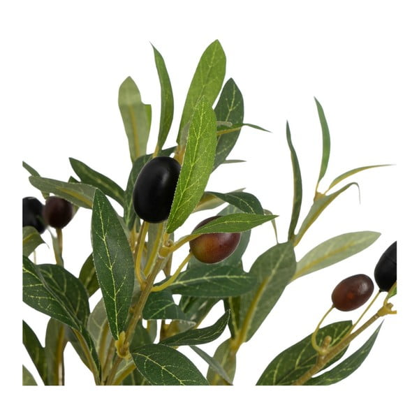 Umělý olivovník – Casa Selección-image-2