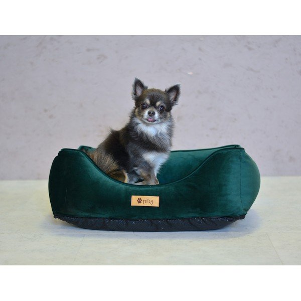 Tmavě zelený sametový pelíšek 55x42 cm Royal - Petsy-image-2