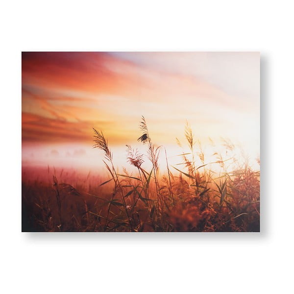 Obraz Graham & Brown Morning Sunrise Meadow, 80 x 60 cm