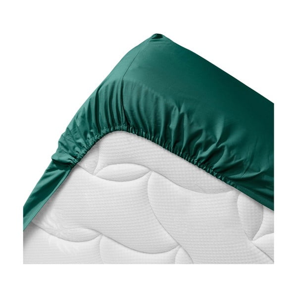 Zelené napínací prostěradlo z Bio bavlny 160x200 cm Biolina – douceur d'intérieur-image-3