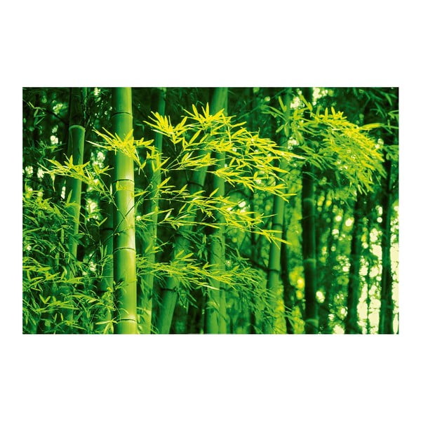 Maxi plakát Bamboo In Spring, 175x115 cm