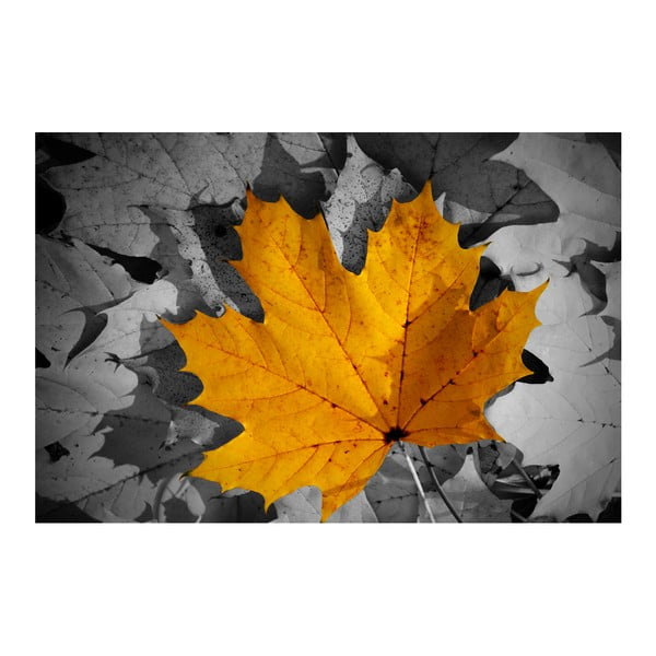Fotoobraz Barvy podzimu, 90x60 cm
